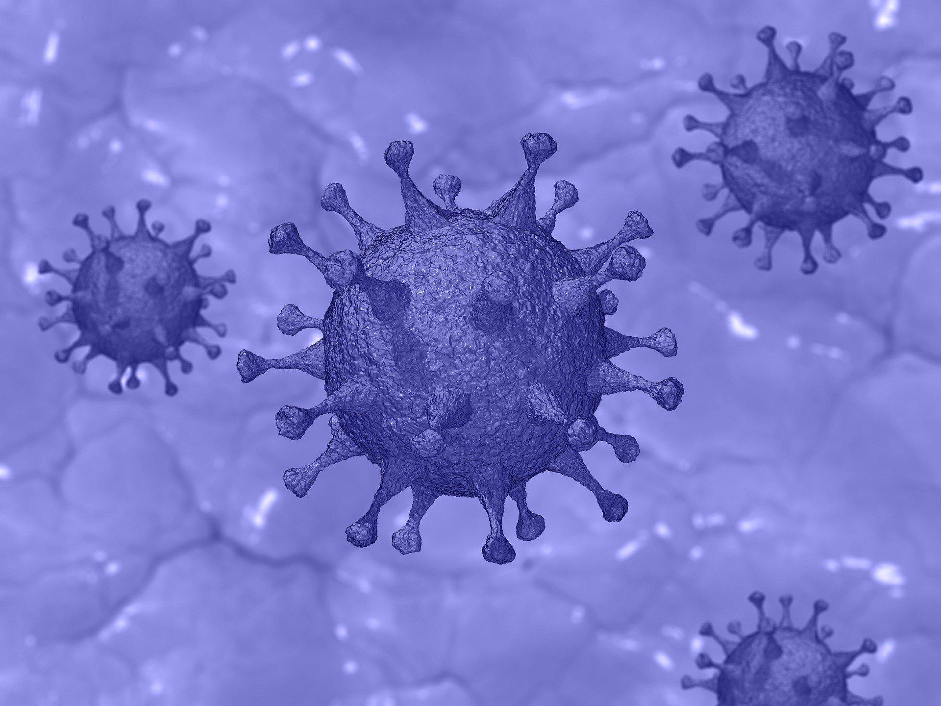 Coronavirus - updated